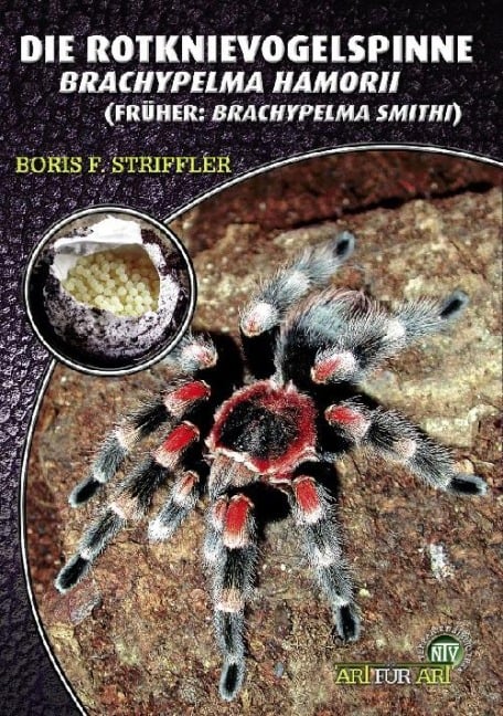 Die Rotknie Vogelspinne - Boris Striffler
