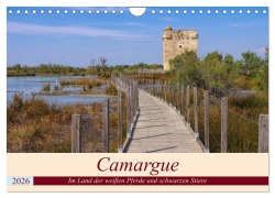Cover-Bild zum Titel 'Camargue - Im Land der weißen Pferde und schwarzen Stiere (Wandkalender 2026 DIN A4 quer), CALVENDO Monatskalender' von 'LianeM LianeM'