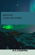 Cover-Bild zum Titel 'Zwischen Feuer und Sturm' von 'Martina Eleonore Schneider'