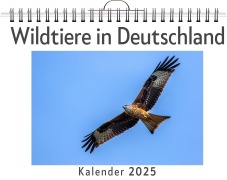 Cover-Bild zum Titel 'Wildtiere in Deutschland - (Wandkalender 2025, Kalender DIN A4 quer, Monatskalender im Querformat mit Kalendarium, das perfekte Geschenk)' von 'Max Herrmann'
