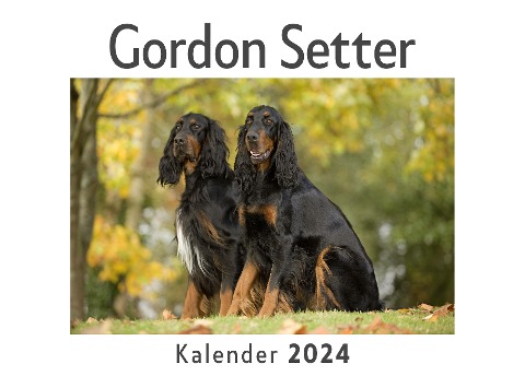 Gordon Setter (Wandkalender 2024, Kalender DIN A4 quer, Monatskalender im Querformat mit Kalendarium, Das perfekte Geschenk) - Anna Müller