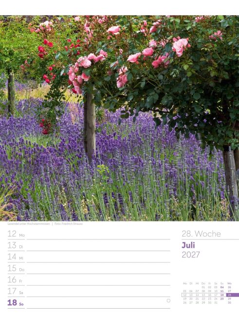 InsideView 32
