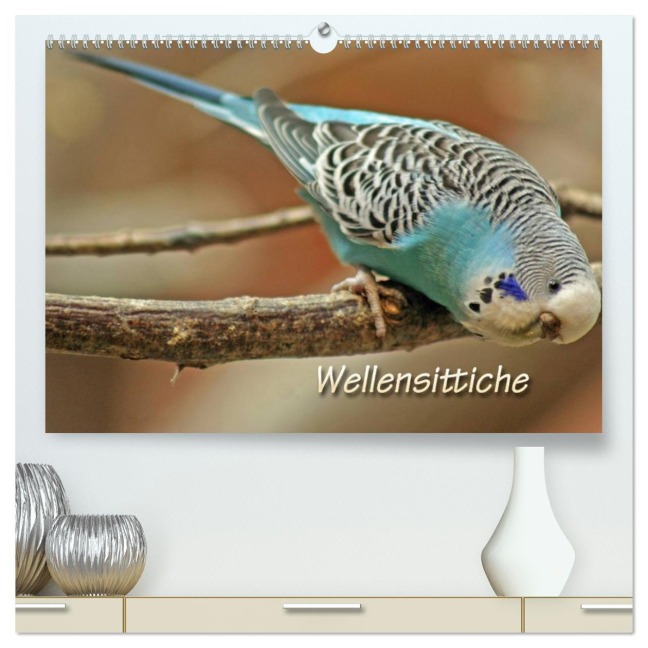 Wellensittiche (hochwertiger Premium Wandkalender 2026 DIN A2 quer), Kunstdruck in Hochglanz - Barbara Mielewczyk