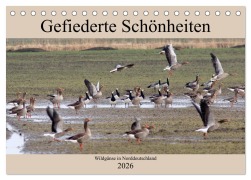 Gefiederte Schönheiten - Wildgänse in Norddeutschland (Tischkalender 2026 DIN A5 quer), CALVENDO Monatskalender - Rolf Pötsch