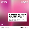 Cover-Bild zum Titel 'Romeo und Julia auf dem Dorfe' von 'Katharina Borchardt'