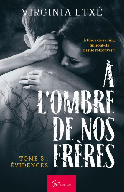 À l'ombre de nos frères - Tome 3 - Virginia Etxé