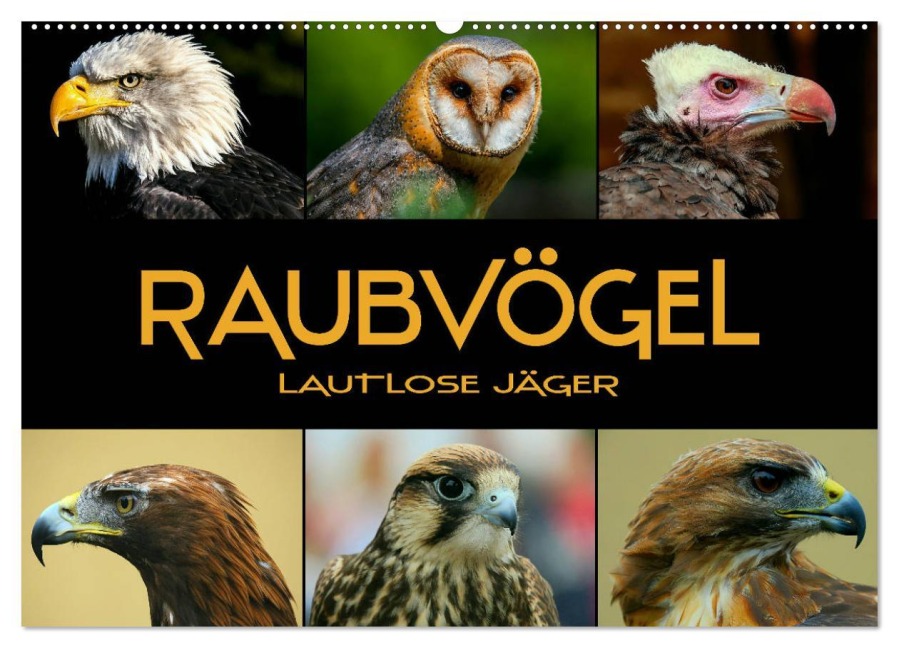 Raubvögel - lautlose Jäger (Wandkalender 2025 DIN A2 quer), CALVENDO Monatskalender - Renate Bleicher