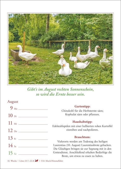 InsideView 12