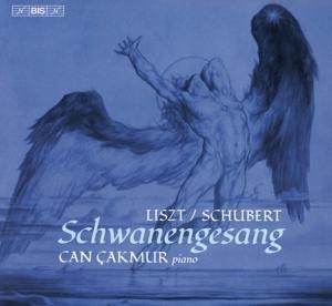 Schwanengesang - Can Cakmur