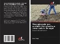 Cover-Bild zum Titel 'Meccanizzazione e produttività del settore cerealicolo in Senegal' von 'Saer Sarr'