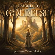 Cover-Bild zum Titel 'Goldelse' von 'E. Marlitt'