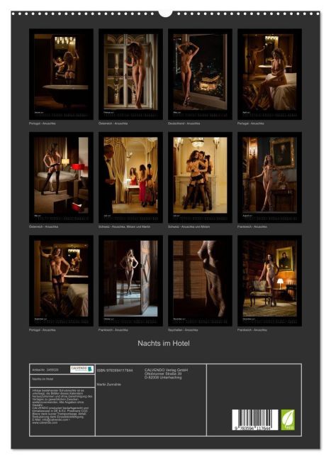 InsideView 4