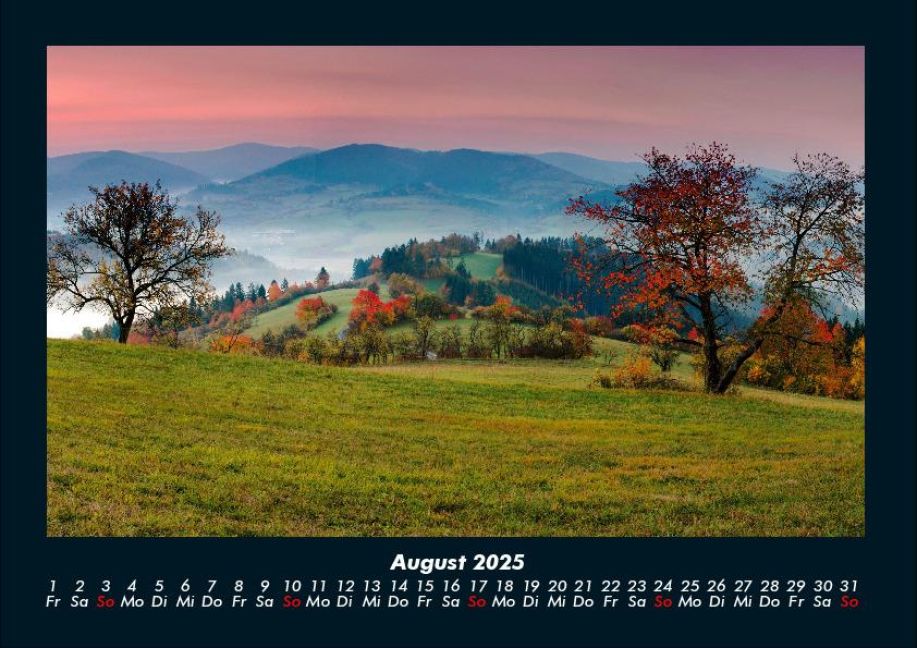 InsideView 12