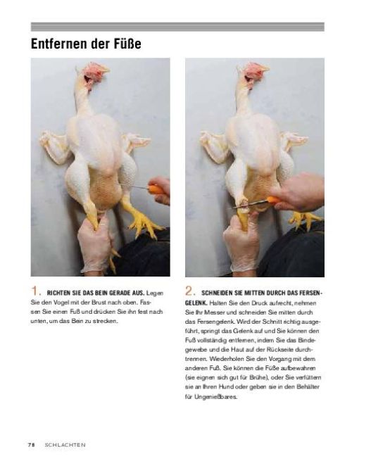 InsideView 7