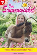 Cover-Bild zum Titel 'Tim und Sascha schmieden Pläne' von 'Patricia Vandenberg'