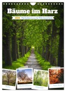 Cover-Bild zum Titel 'Bäume im Harz (Wandkalender 2026 DIN A4 hoch), CALVENDO Monatskalender' von 'Steffen Gierok-Latniak'