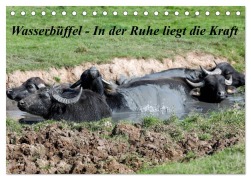 Wasserbüffel - In der Ruhe liegt die Kraft (Tischkalender 2026 DIN A5 quer), CALVENDO Monatskalender - Frank Gayde