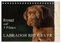 Freund auf 4 Pfoten - Labrador Retriever (Tischkalender 2024 DIN A5 quer), CALVENDO Monatskalender - Sigrid Starick