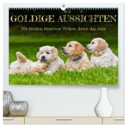 Cover-Bild zum Titel 'Goldige Aussichten - Mit Golden Retriever Welpen durch das Jahr (hochwertiger Premium Wandkalender 2026 DIN A2 quer), Kunstdruck in Hochglanz' von 'Sigrid Starick'