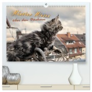 Cover-Bild zum Titel 'Münster Miezen - über den Dächern (hochwertiger Premium Wandkalender 2026 DIN A2 quer), Kunstdruck in Hochglanz' von 'Viktor Gross'