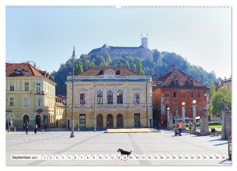 InsideView 13