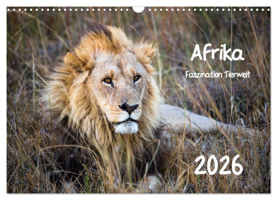 Afrika - Faszination Tierwelt (Wandkalender 2026 DIN A3 quer), CALVENDO Monatskalender - Horst Bentlage