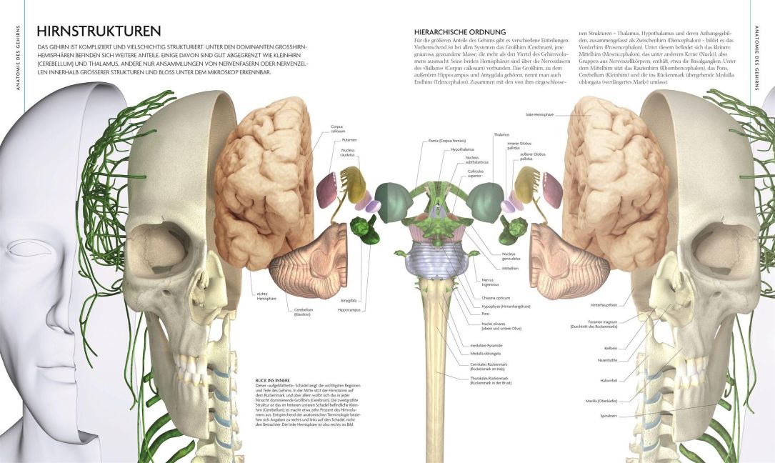 InsideView 4