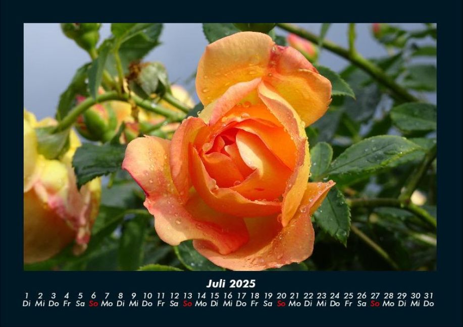 InsideView 11