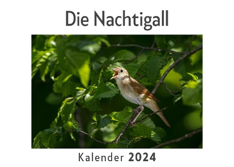 Die Nachtigall (Wandkalender 2024, Kalender DIN A4 quer, Monatskalender im Querformat mit Kalendarium, Das perfekte Geschenk) - Anna Müller