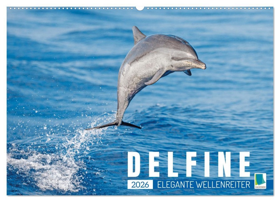 Delfine: Elegante Wellenreiter (Wandkalender 2026 DIN A2 quer), CALVENDO Monatskalender - Calvendo Calvendo