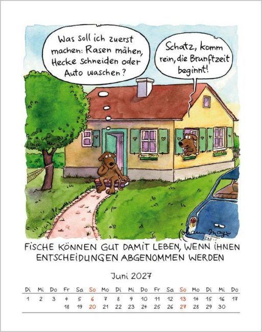 InsideView 6