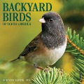 Backyard Birds 2025 7 X 7 Mini Wall Calendar - Willow Creek Press