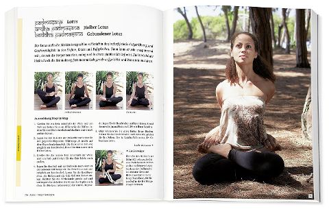 InsideView 13