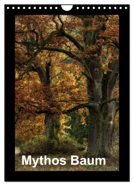 Mythos Baum / 2026 (Wandkalender 2026 DIN A4 hoch), CALVENDO Monatskalender - Joachim Barig