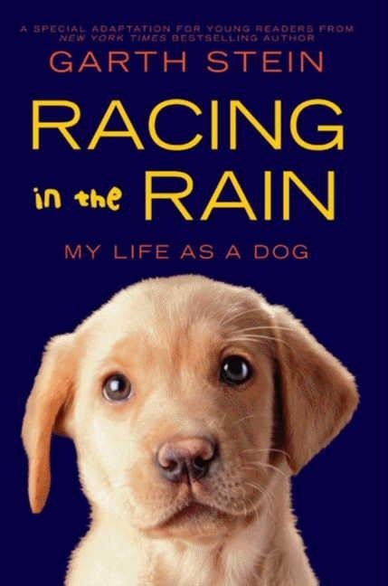 Racing in the Rain - Garth Stein