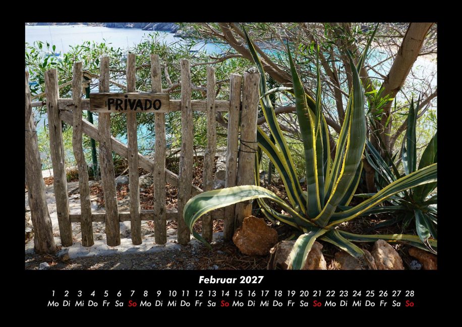 InsideView 6