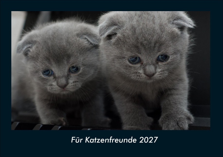 Für Katzenfreunde 2027 Fotokalender DIN A4 - Tobias Schmitt, Kevin Heber