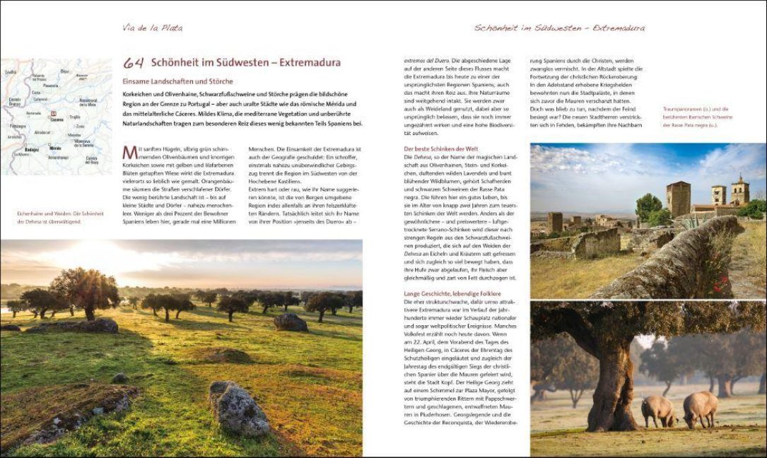 InsideView 4