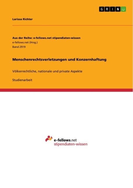 Menschenrechtsverletzungen und Konzernhaftung - Larissa Richter