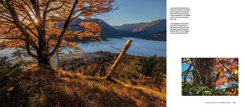 InsideView 5