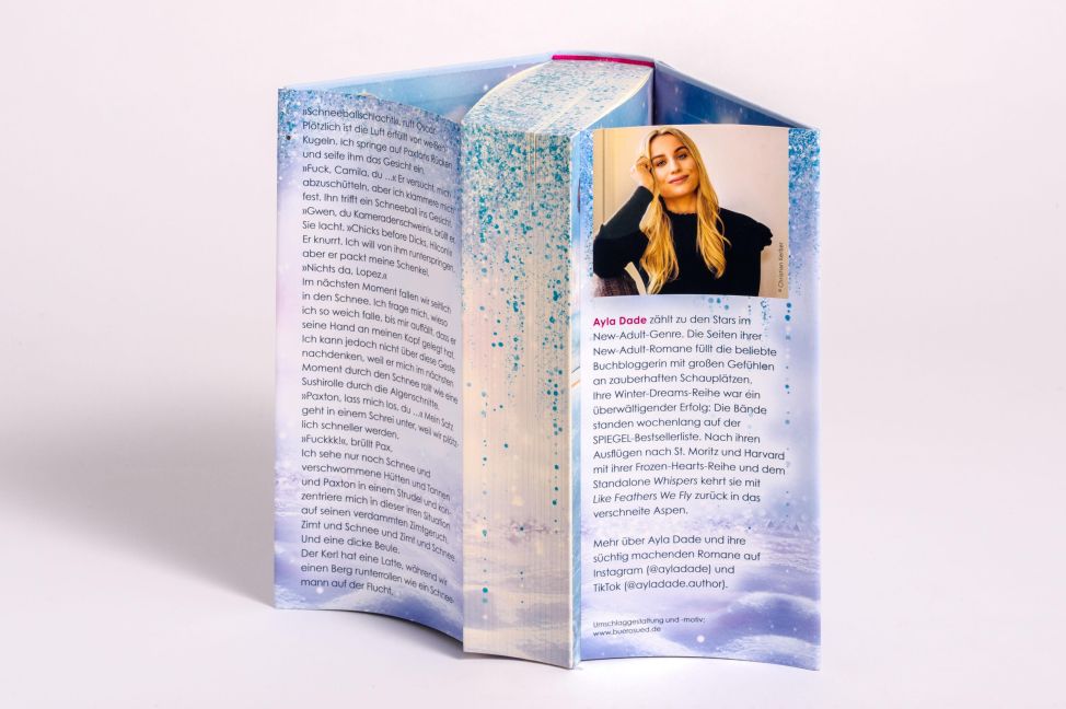 InsideView 6