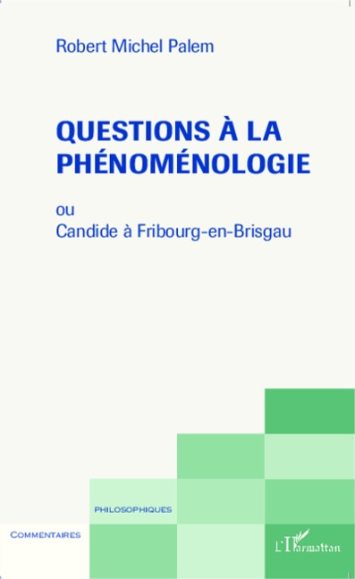 Questions à la phénoménologie - Robert-Michel Palem