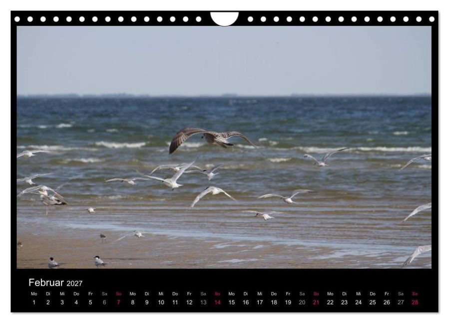 InsideView 7