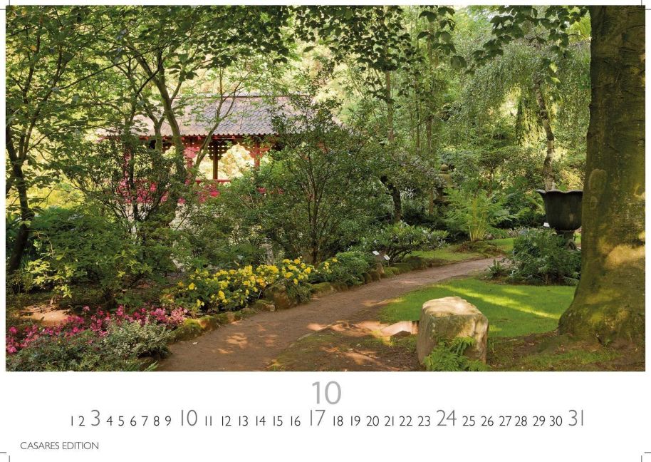 InsideView 10