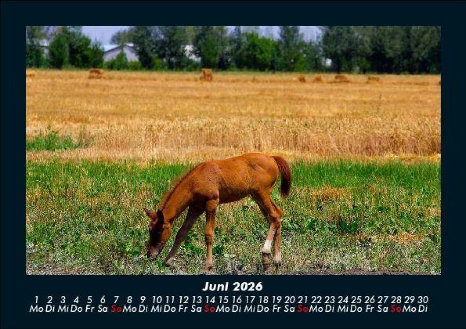 InsideView 10