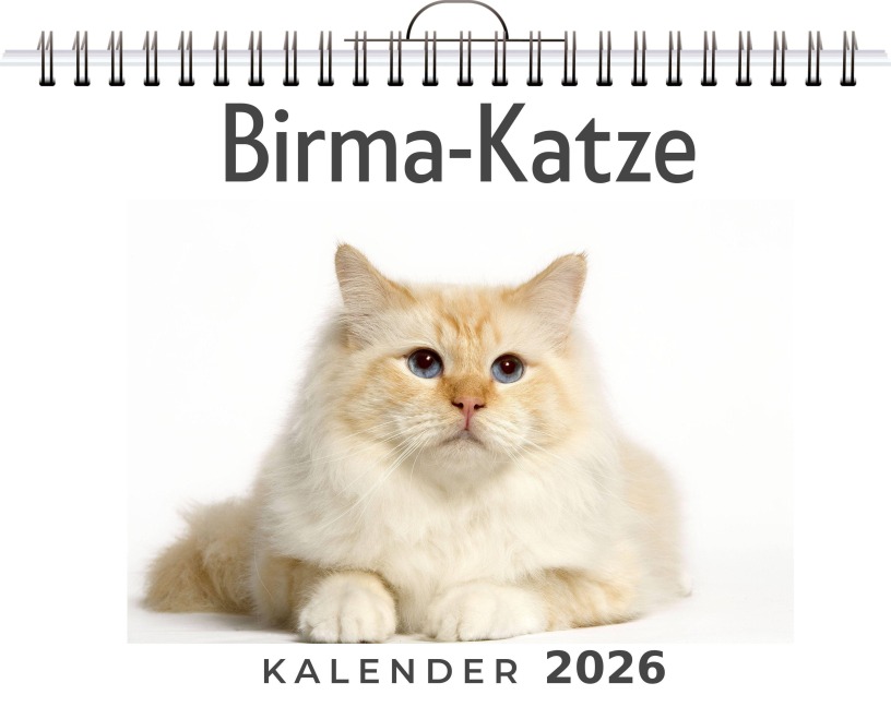 Birma-Katze - Marie Schröder
