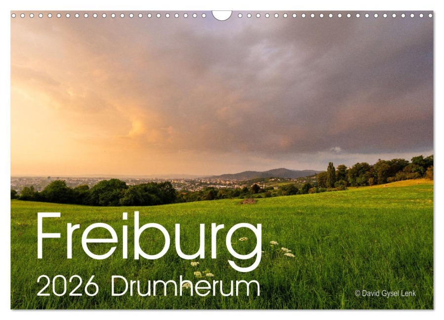 Freiburg, Drumherum (Wandkalender 2026 DIN A3 quer), CALVENDO Monatskalender - David Gysel Lenk
