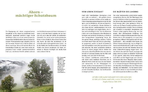 InsideView 4