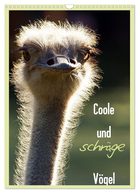Coole und schräge Vögel (Wandkalender 2025 DIN A3 hoch), CALVENDO Monatskalender - Sigrid Enkemeier