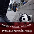 Promenadenmischung - Auf den Slam gekommen - Frauke Baldrich-Brümmer